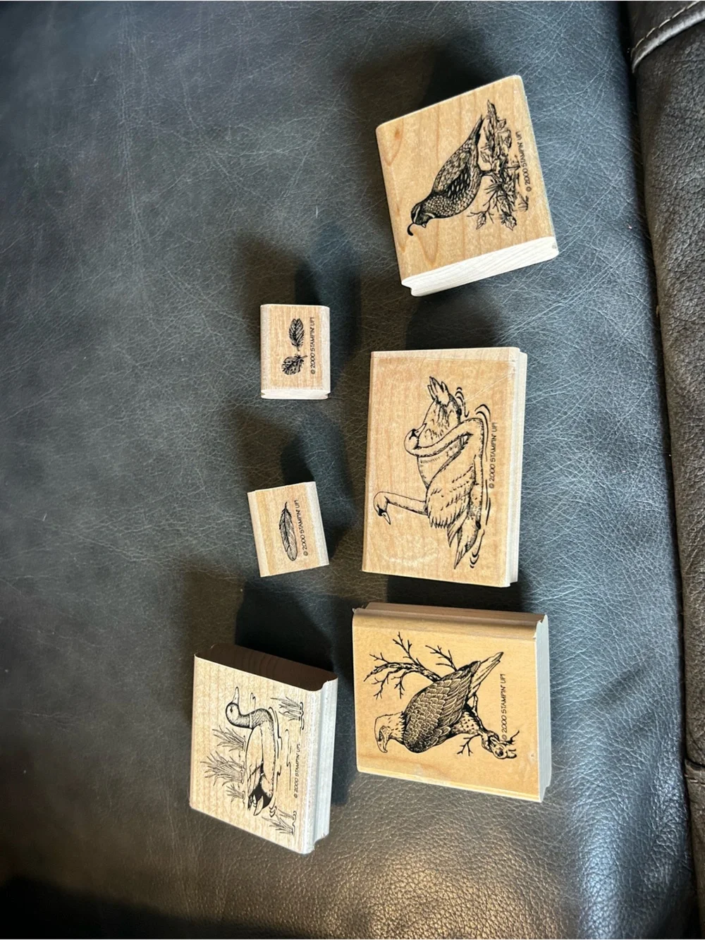 6 STAMPIN UP! 2000 BIRDS STAMPS duck eagle feather swan quail‎ vintage